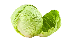 热门话题，实时速递 - 虎扑体育yubo